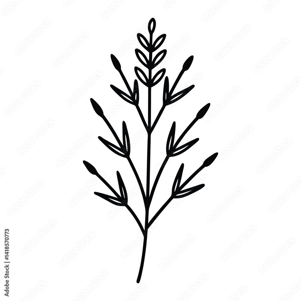 Winter heath flower line art vector on white background Winter heath flower line art vector on white background
