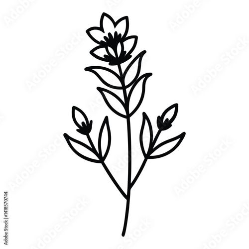 Winter heath flower line art vector on white background