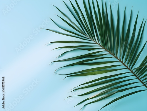 Palm tree leaves isolated on blue background with copy space for text. Tropical theme concept.