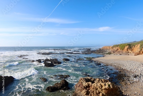A black bird perches calmly with the cloudy coastal landscape blurred in the background.