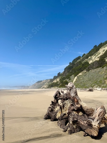 A massive piece of driftwood lies on the sand with a misty coastal mountain in the background.