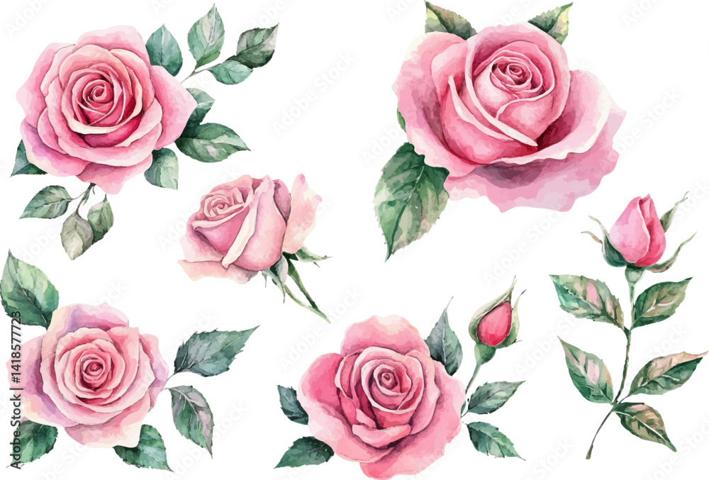 Naklejka premium Watercolor Pink Rose – Romantic Bloom Design