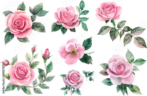 Watercolor Pink Rose Flower Art Clipart