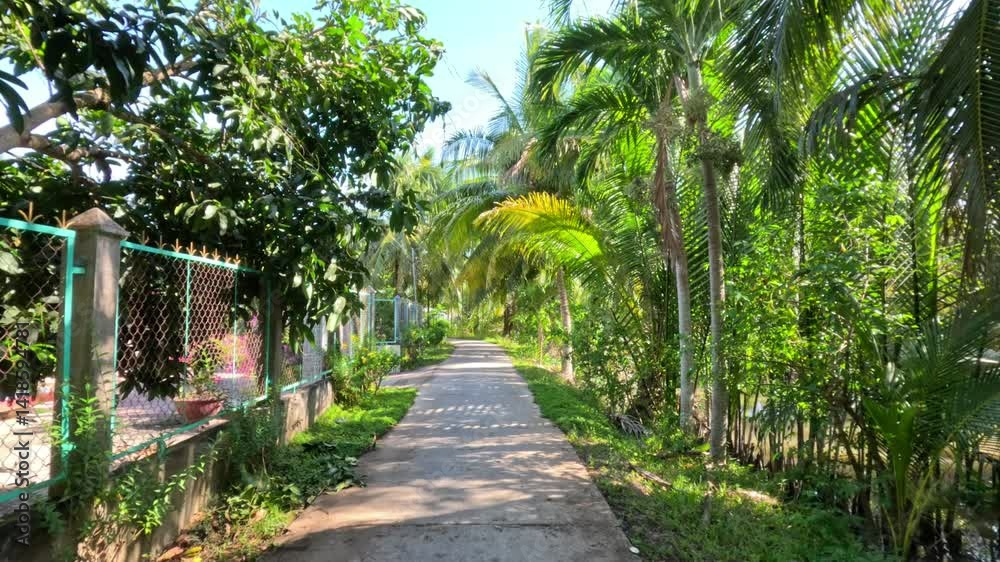 A narrow rural path surrounded by coconut palm trees in Mekong Delta, Vietnam. A narrow rural path surrounded by coconut palm trees in Mekong Delta, Vietnam.