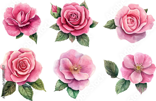 Watercolor Pink Rose Flower Art Clipart