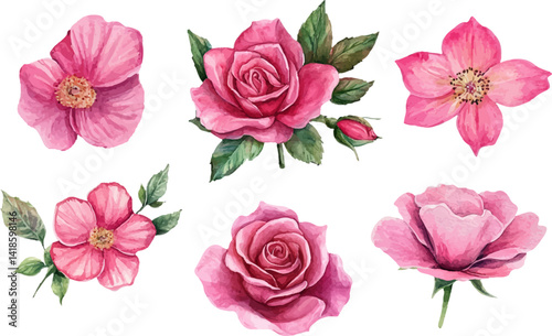 Wallpaper Mural Watercolor Pink Rose – Romantic Bloom Design Torontodigital.ca