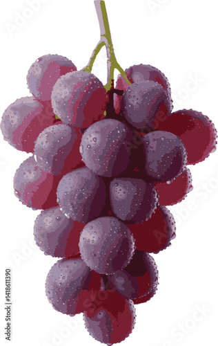 grape Illustrator Artwork