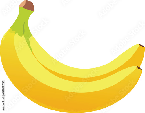 vector illustration of a banana