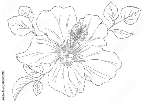 Wallpaper Mural Hand-drawn hibiscus flower sketch, capturing the beauty of tropical blooms. Ideal for botanical, tropical, or spa designs.	 Torontodigital.ca