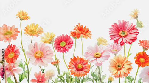 Elegant wedding invitation card background . Minimal hand painted watercolor Gerbera flowers texture template background. Design for wedding, vip cover, poster, rsvp moderncard.Valentine's Day