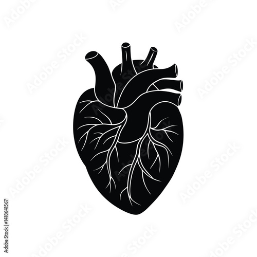 human heart silhouette, cardiology medical part vector on white background