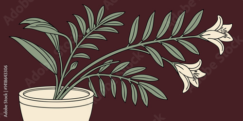 Zamioculcas home plant in beige pot. House plant isolated on red background. Young Zanzibar gem plant in flowerpot vector illustration.
