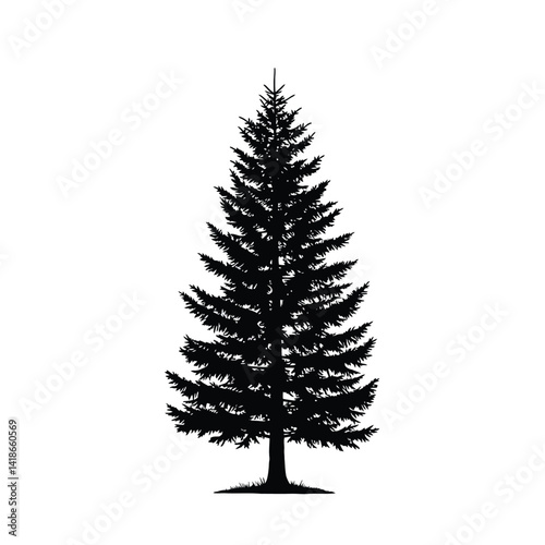 Eastern white pine silhouette. This image depicts the silhouette of an eastern white pine tree with needle-like foliage and symmetrical shape. Vector clipart illustration design.