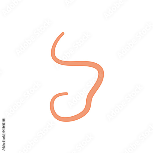 Ascaris parasitic worm vector
