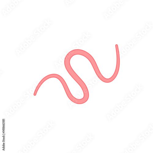 Ascaris parasitic worm vector