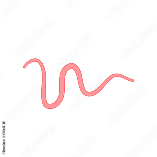 Ascaris parasitic worm vector
