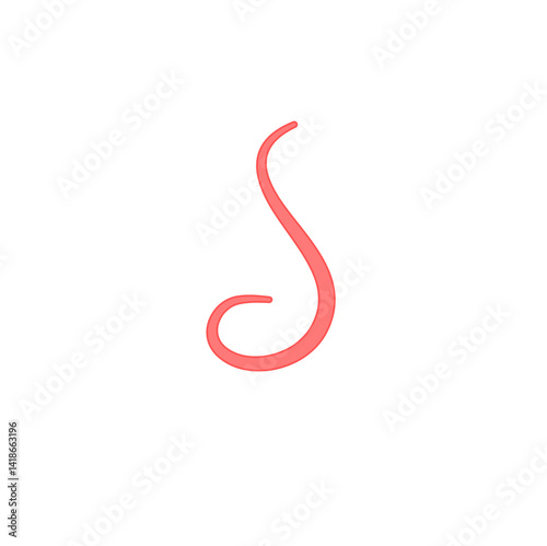 Ascaris parasitic worm vector