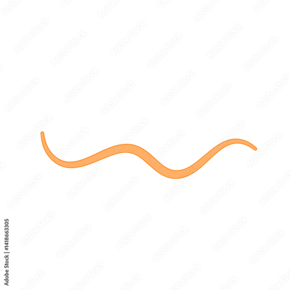 Ascaris parasitic worm vector Ascaris parasitic worm vector
