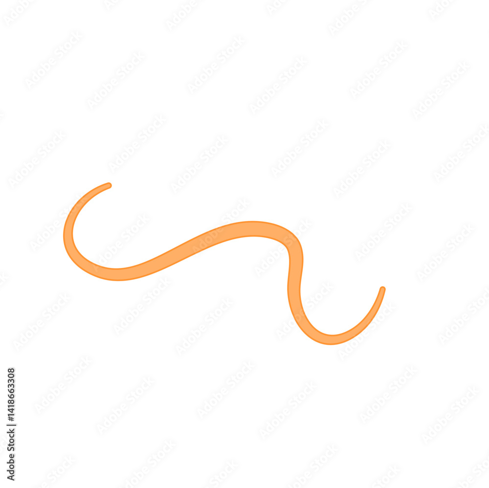 Ascaris parasitic worm vector Ascaris parasitic worm vector