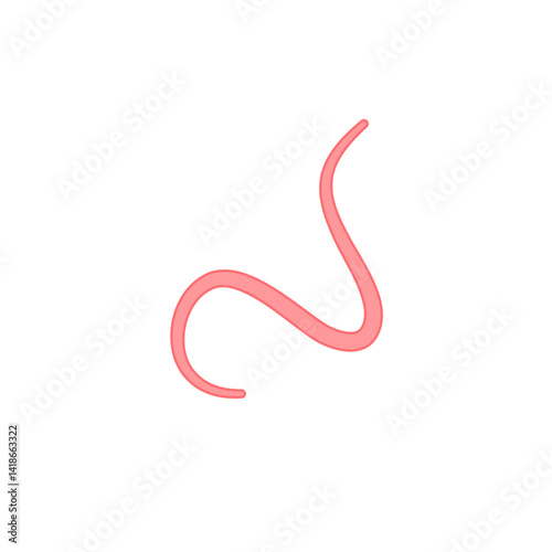 Ascaris parasitic worm vector