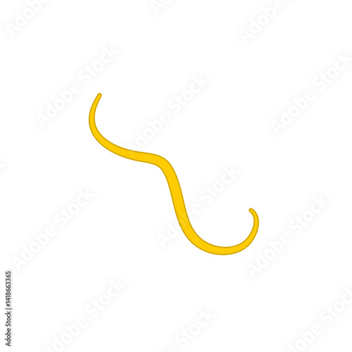 Ascaris parasitic worm vector