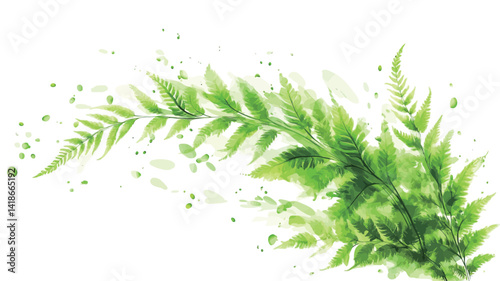 The image showcases a detailed illustration of a fern branch against a stark white backdrop.  The fern's leaves exhibit a vibrant, saturated green hue
