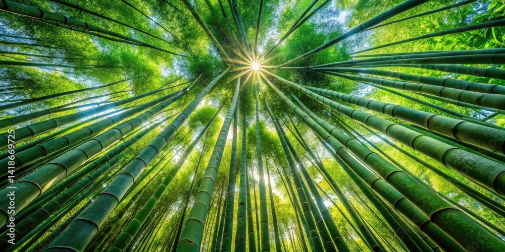 Aerial View Bamboo Forest Texture, Drone Photography, Green Bamboo Canopy, Nature Background, High-Resolution Image Aerial View Bamboo Forest Texture, Drone Photography, Green Bamboo Canopy, Nature Background, High-Resolution Image