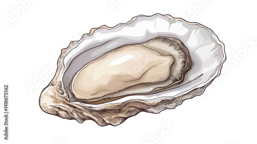 Close-up illustration of a single oyster inside its shell. The oyster is depicted with a creamy off-white interior, exhibiting a slightly irregular shape and texture