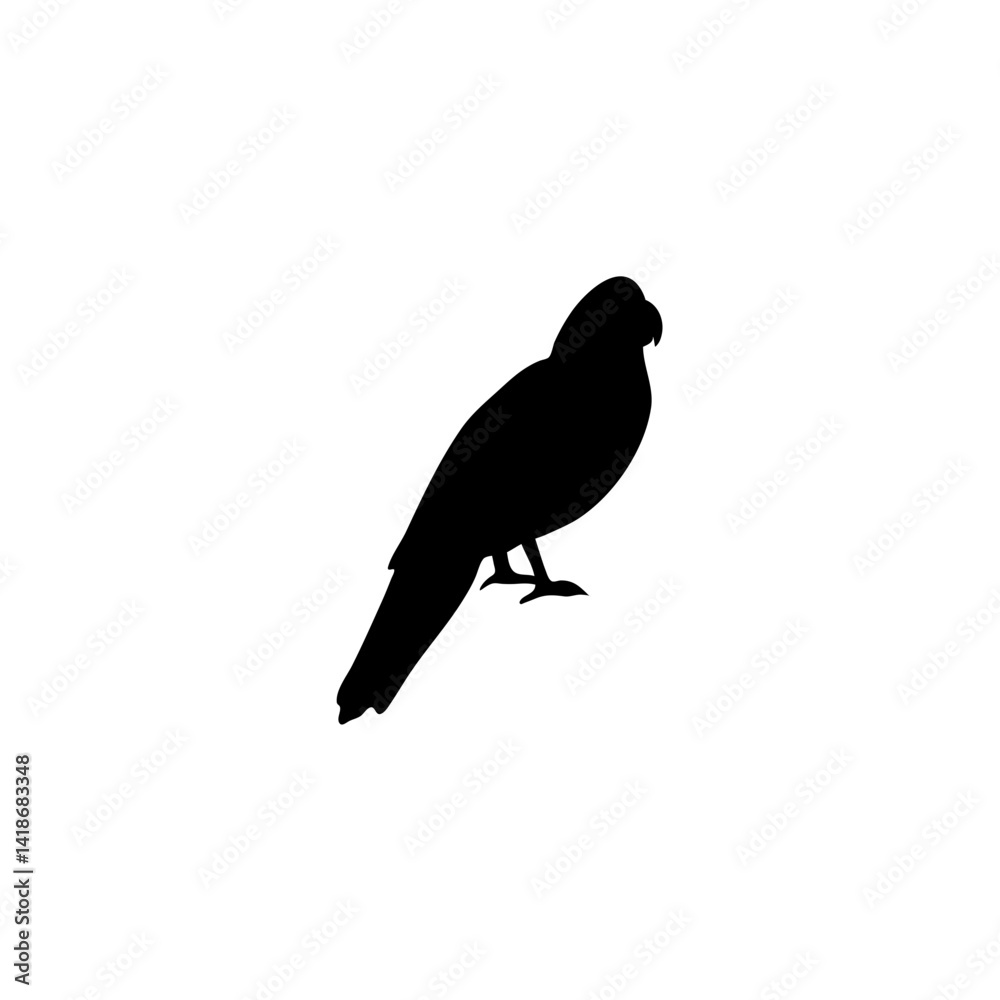 Obraz premium Parrot bird silhouette vector 