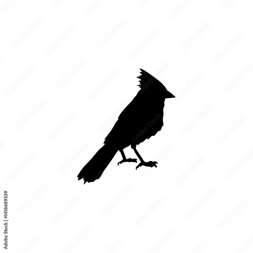 Obraz premium Cardinal bird silhouette 