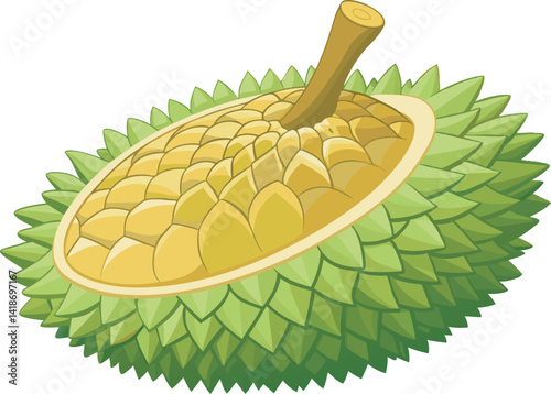 A vibrant vector art illustration of a delicious durian fruit, showcasing its spiky exterior and creamy, rich yellow flesh inside.