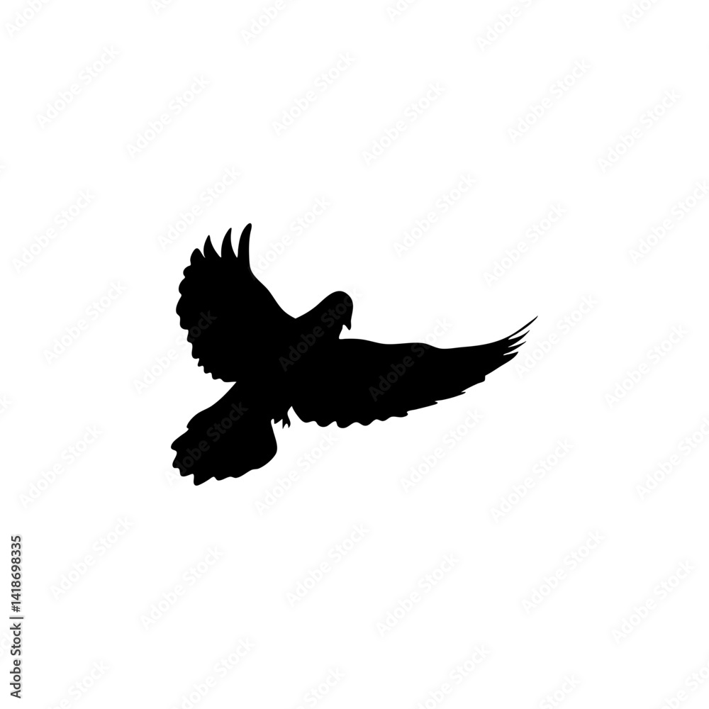 Obraz premium Flying Dove Birds Silhouettes