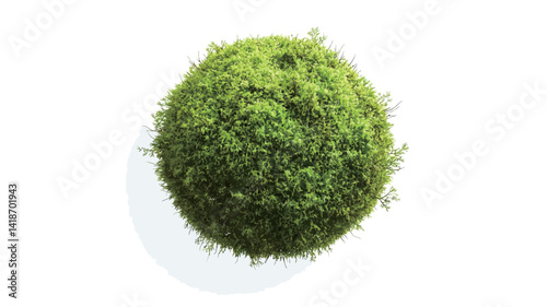 High-angle, close-up studio shot of a spherical moss ball against a stark white background. The moss exhibits a textured surface with varying shades of green, suggesting depth and density.