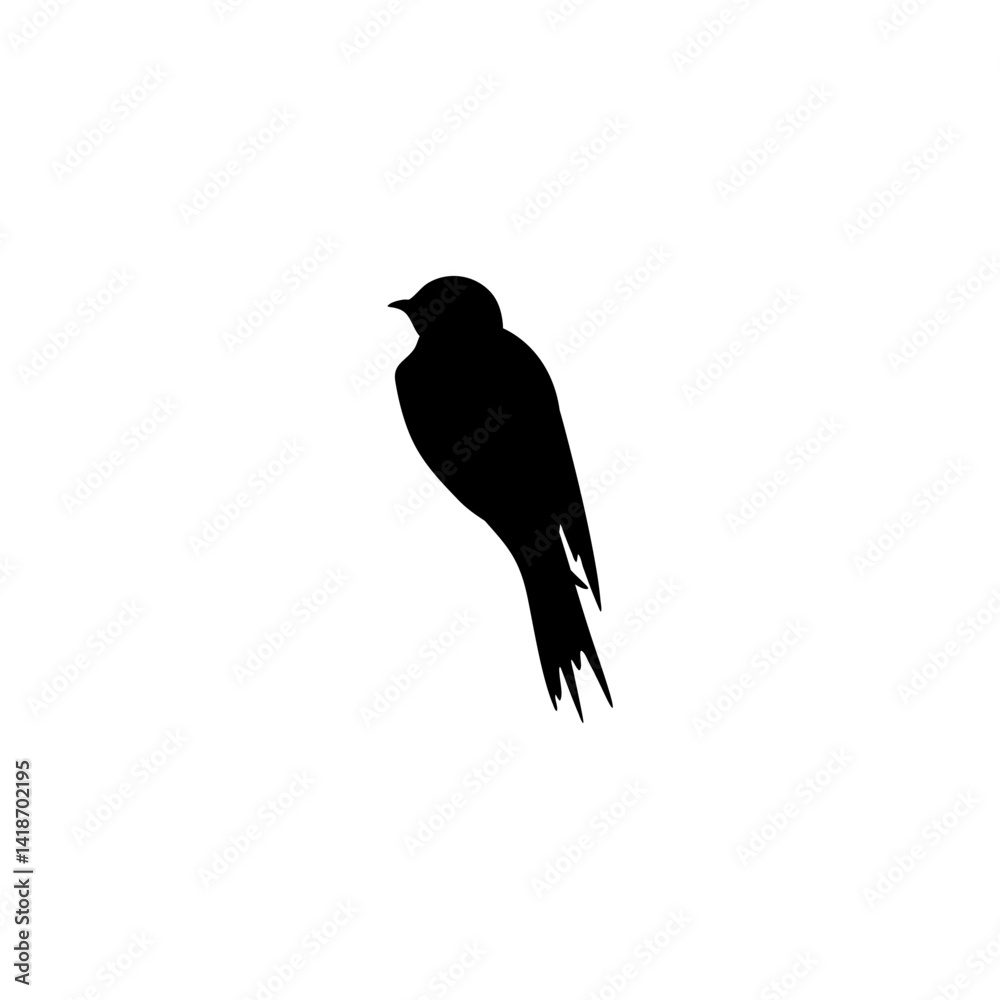 Obraz premium Swallow bird silhouette 
