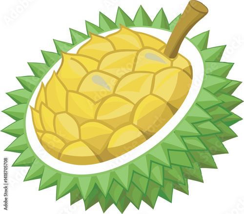 A vibrant vector art illustration showcasing the delicious tropical durian fruit, highlighting its unique spiky shell and rich creamy texture.