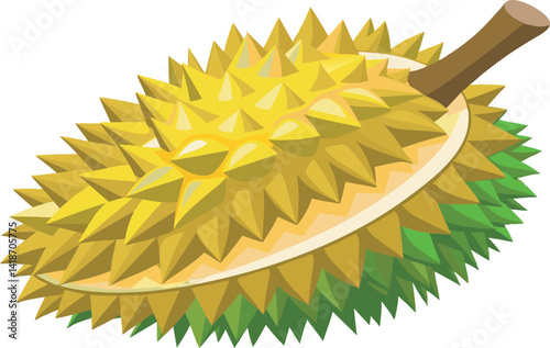A vibrant vector art illustration showcasing the delicious tropical durian fruit, highlighting its unique spiky shell and rich creamy texture.