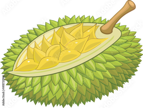 A vibrant vector art illustration showcasing a delicious durian fruit, highlighting its spiky exterior and creamy, rich yellow interior.