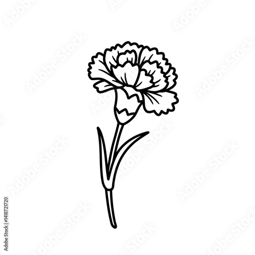 Elegant Black and White Carnation Flower Illustration Line Art Drawing of a Single Blossom