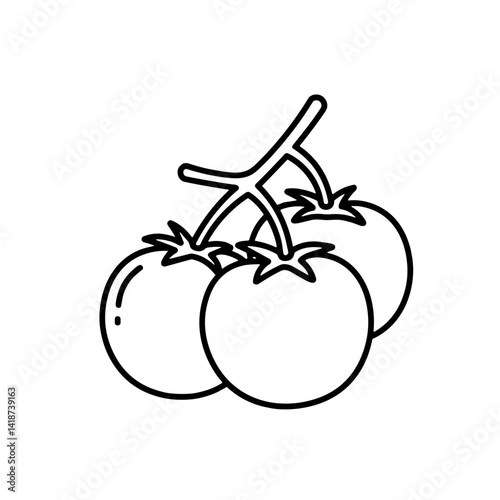 Minimalistic bold black-and-white line art illustration of tomatoes on a vine on white background 