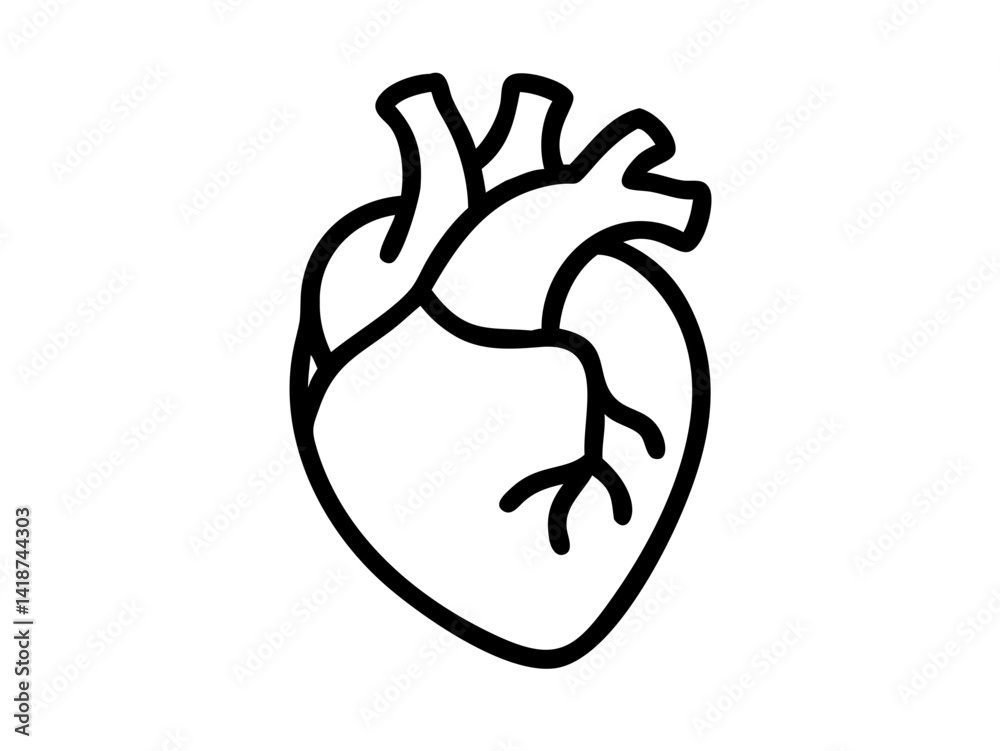 Anatomical Heart line art vector, Heart icon outline drawing vector illustration Anatomical Heart line art vector, Heart icon outline drawing vector illustration