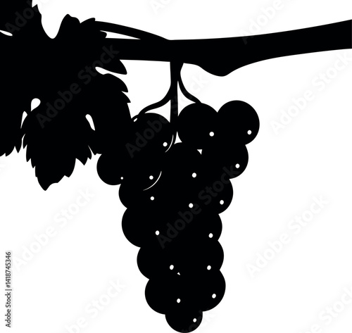Silhouette of Grapes with Vine and Leaf Minimalist, Isolated on White Backdrop