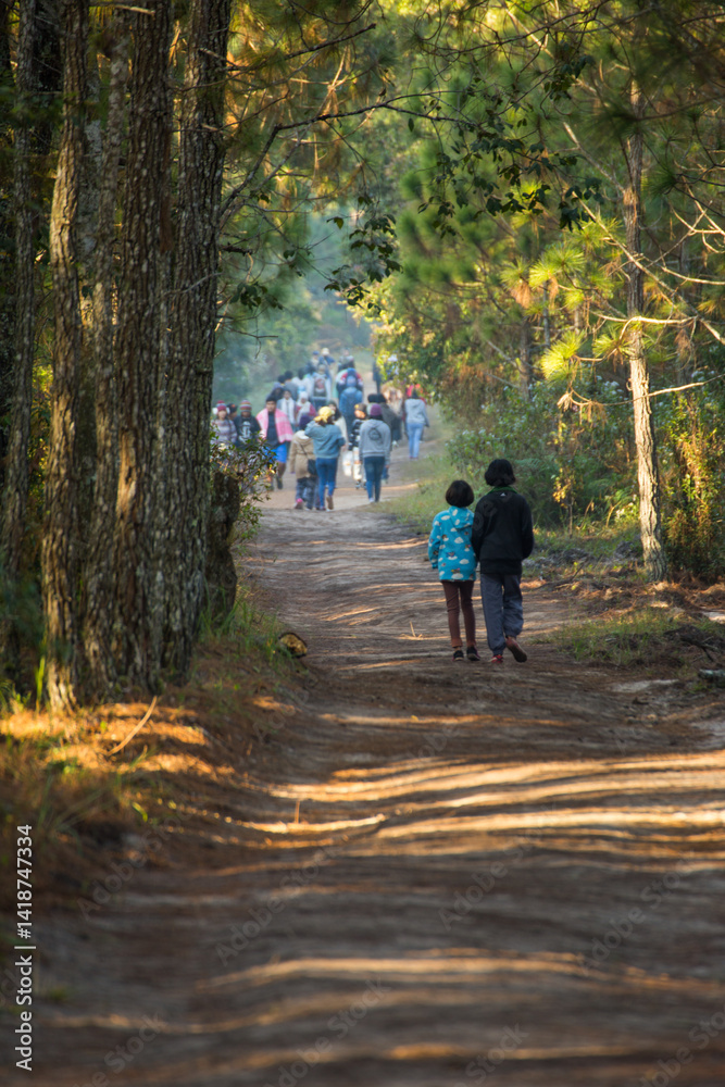 Children walking together on a nature path forest trail outdoor adventure serene environment ground level friendship and discovery Children walking together on a nature path forest trail outdoor adventure serene environment ground level friendship and discovery
