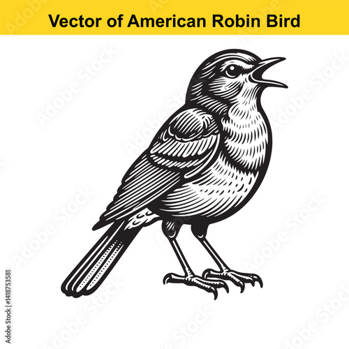 American Robin Line Art Vector – Vintage Tattoo Style Bird Illustration for T-Shirts, Logos, Decals

