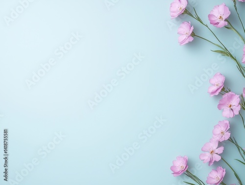Delicate pink flowers arranged on a light blue background, creating a serene and visually appealing composition.