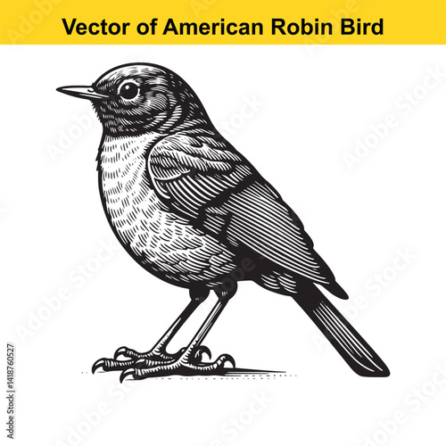 American Robin Line Art Vector – Vintage Tattoo Style Bird Illustration for T-Shirts, Logos, Decals

