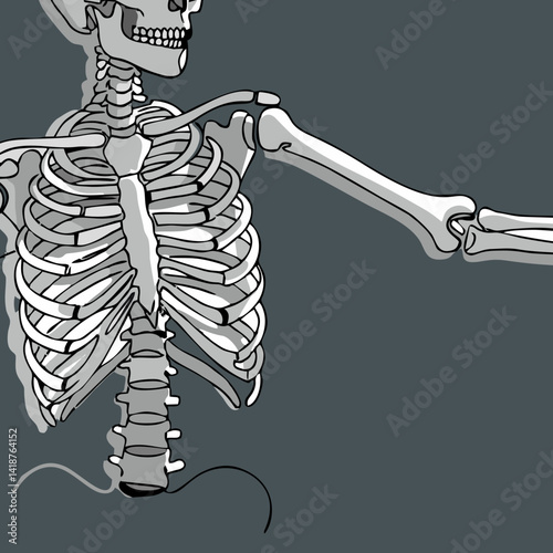 Anatomical minimalist human skeleton illustration line art wall art