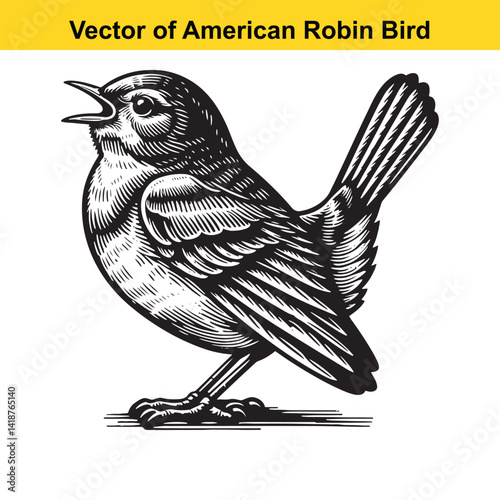 American Robin Line Art Vector – Vintage Tattoo Style Bird Illustration for T-Shirts, Logos, Decals

