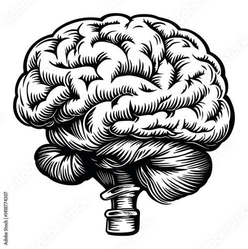 Vintage Woodcut Style Illustration of a Brain in Engraved Design