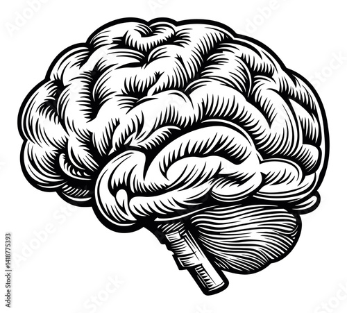 Intricately Drawn Engraving of a Brain in Woodcut Style