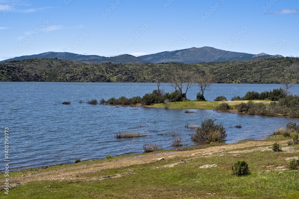 Fototapeta premium detail of alcorlo reservoir in the spanish province of guadalajara